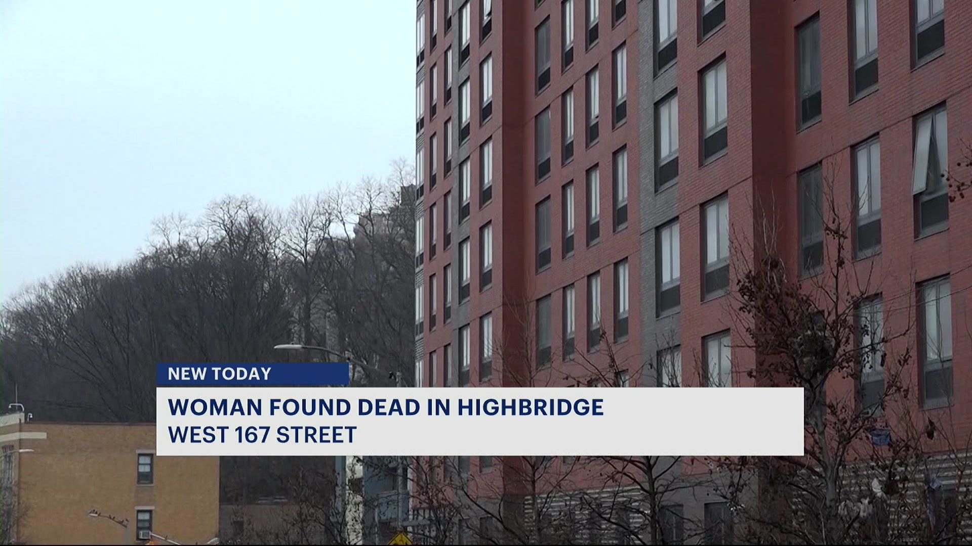 News 12 | Bronx | Police Woman Found Dead On West 167th Street In ...