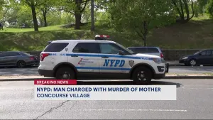 Bronx man in custody following death of his 79-year-old mother in Concourse Village apartment