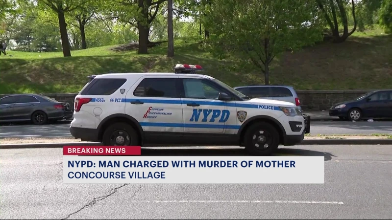 Story image: Bronx man in custody following death of his 79-year-old mother in Concourse Village apartment