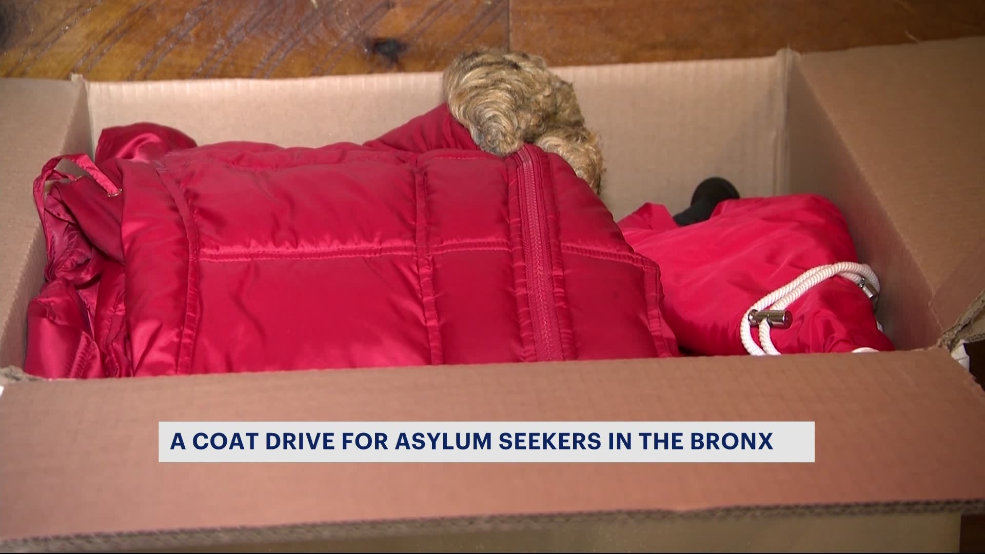 4DX团队与TLC团队在纽约冬季来临前为移民收集大衣