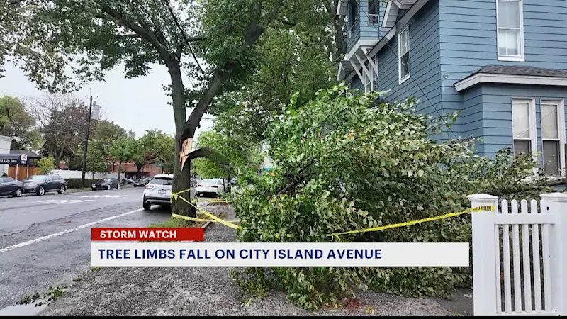 Story image: Multiple tree limbs fall on City Island Avenue 