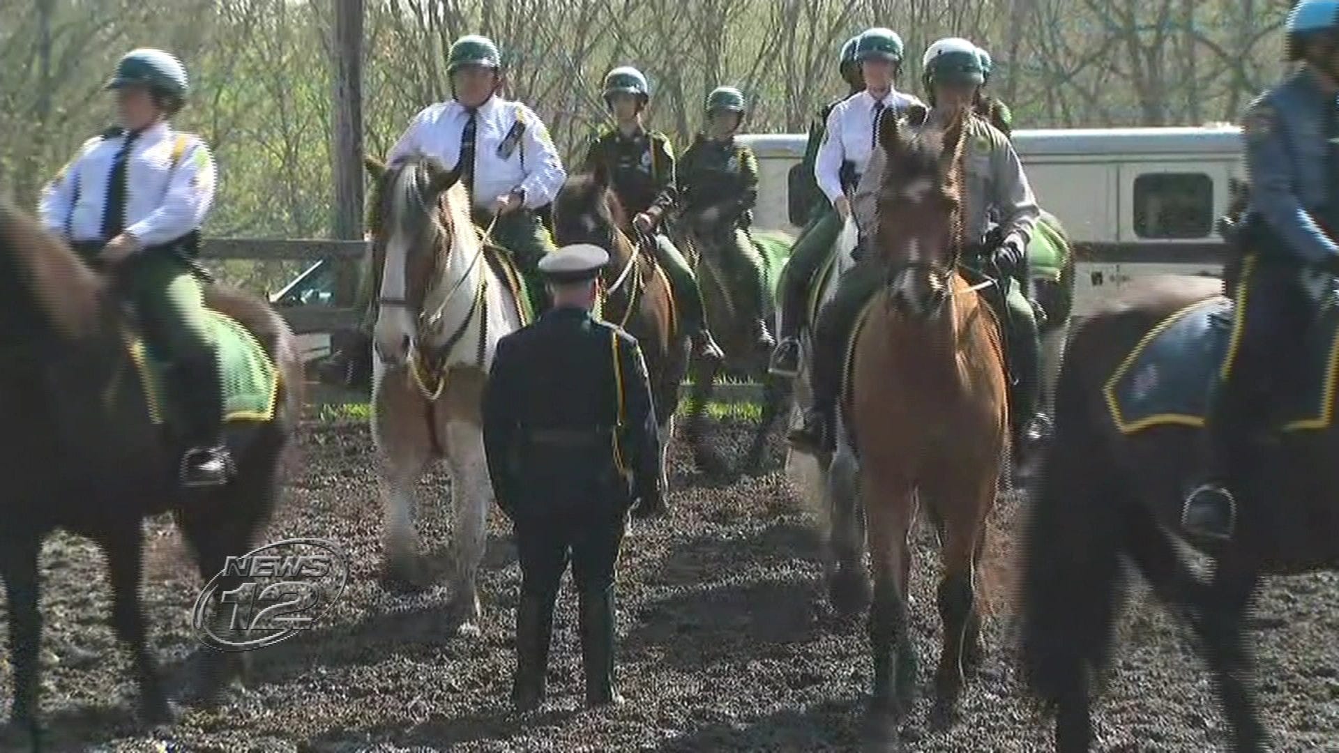 Article 115967 Thumbnail