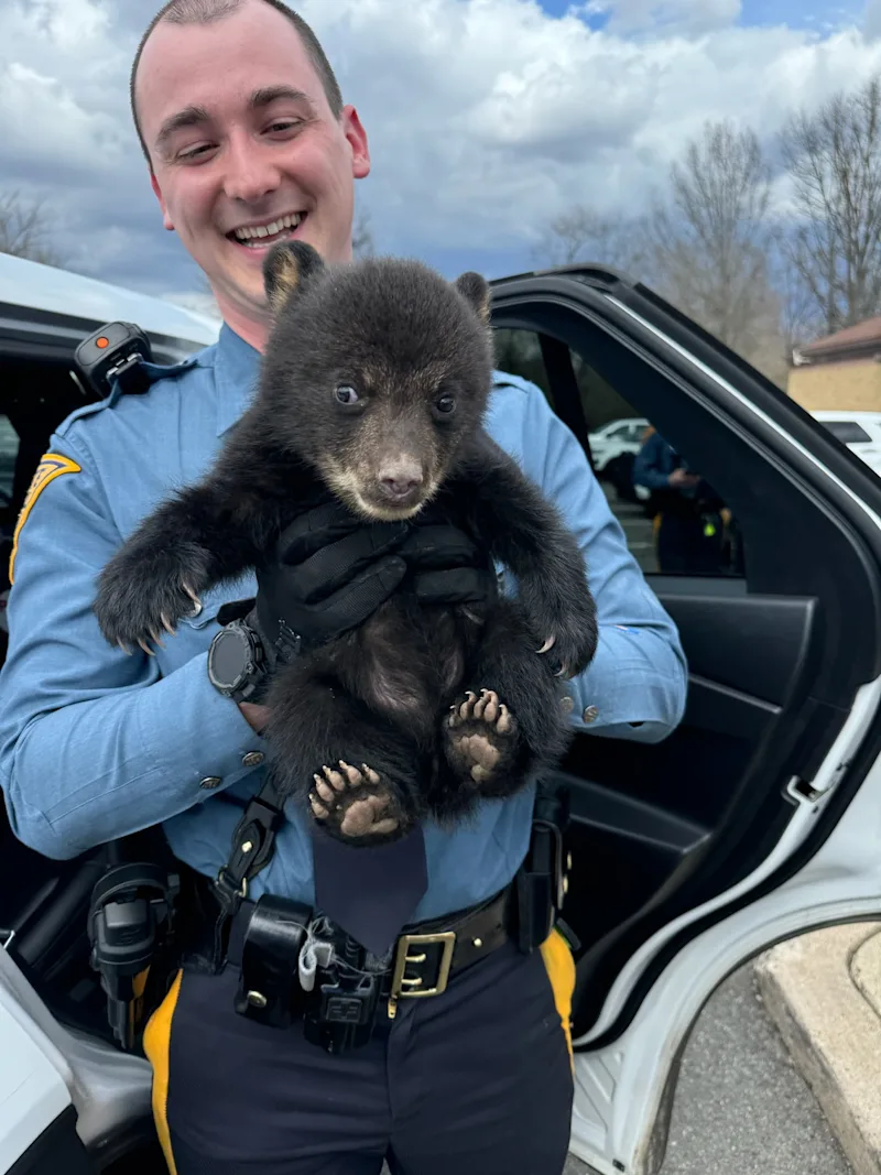 BEAR CUB 1.jpg