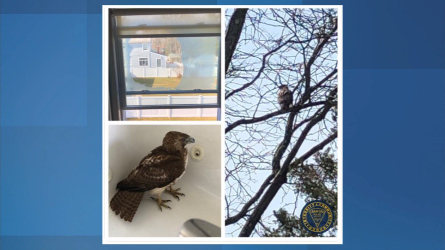 Article 108082 Thumbnail