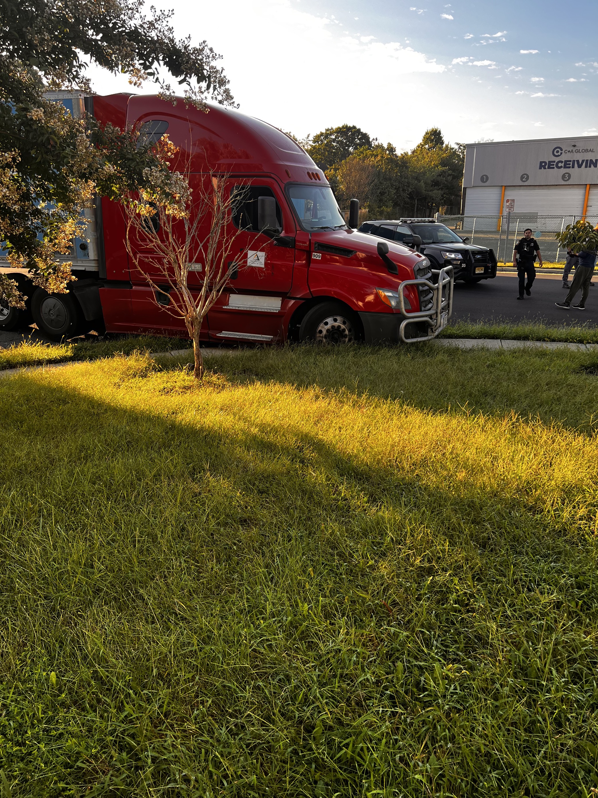 MicrosoftTeams-image (1) (1).png