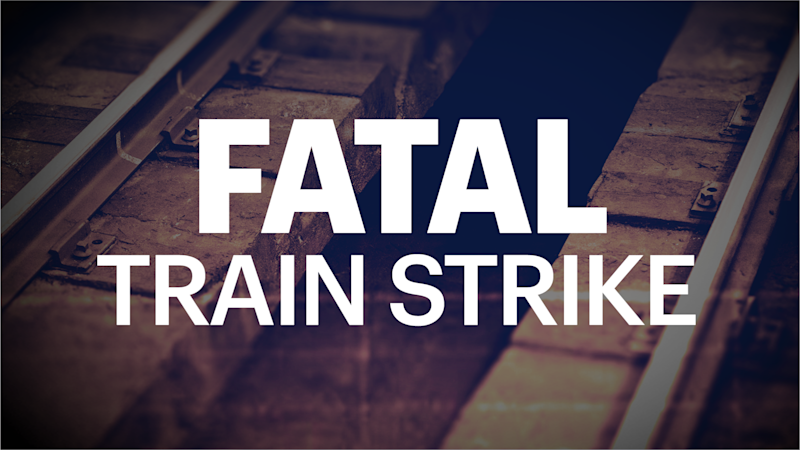 Story image: Man fatally struck by NJ Transit train in Cranford