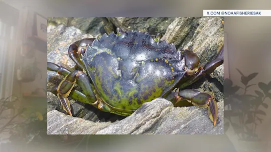ctcrab826_2026-08-26-16-49-00