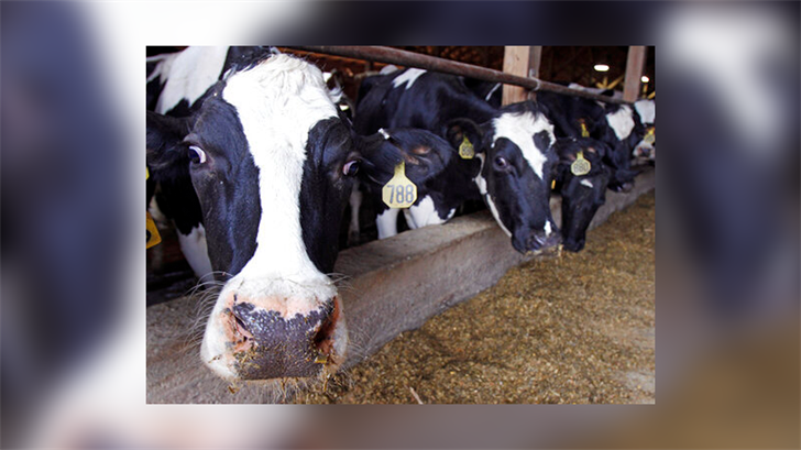 Article 10192 Thumbnail