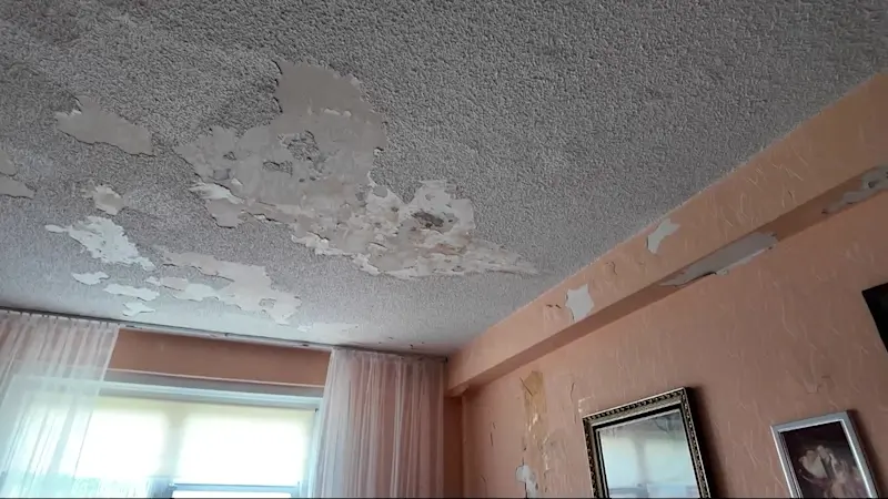 Story image: NYCHA begins repairs inside 96-year-old Holocaust survivor's home after News 12 report