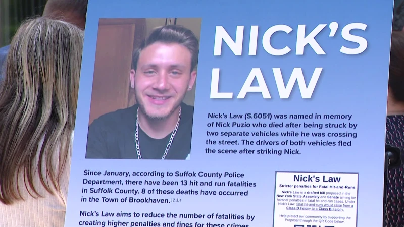 Story image: Renewed push to pass Nick’s Law after fatal hit-and-run in Suffolk County