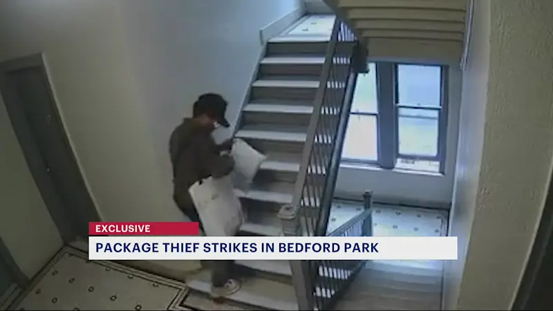 Story image: Exclusive: Bedford Park package theft caught on camera