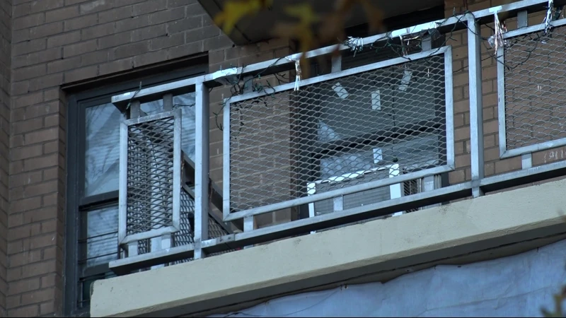 Story image: NYPD: Man accused of throwing dog from Crown Heights balcony arrested and charged