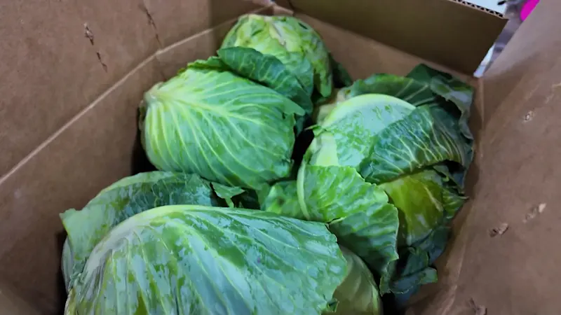 Story image: Hochul says 3 million New Yorkers at risk of losing SNAP benefits next week