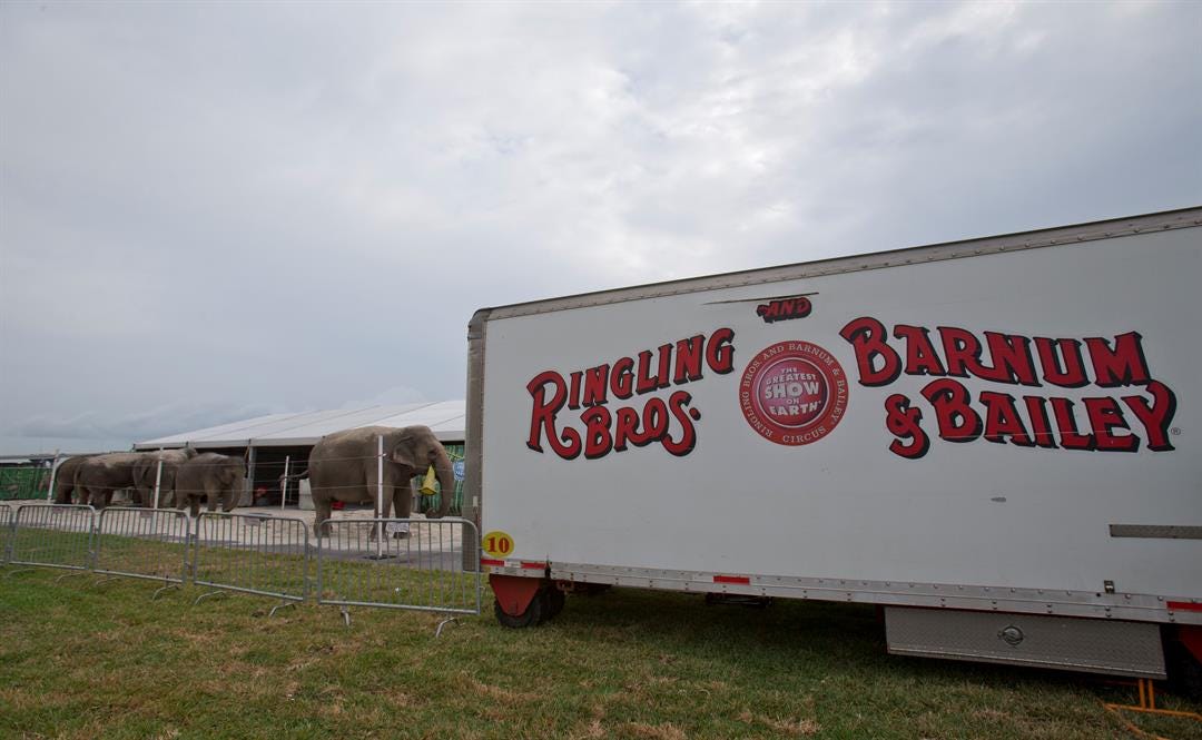 Article 46386 Thumbnail