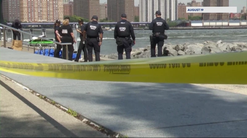 Story image: Additional bone fragments found at Brooklyn Bridge Park