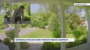 Norwalk police looking for porch pirate
