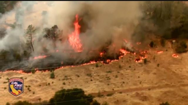 Article 139830 Thumbnail