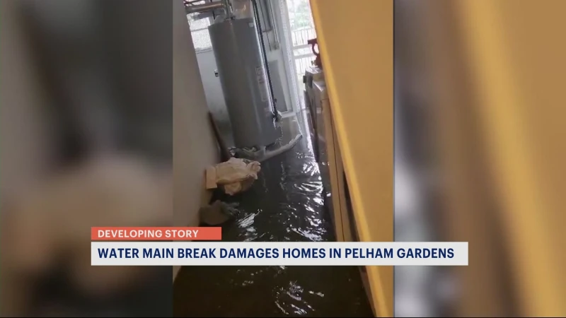 Story image: Multiple homes damaged in Pelham Gardens water main break