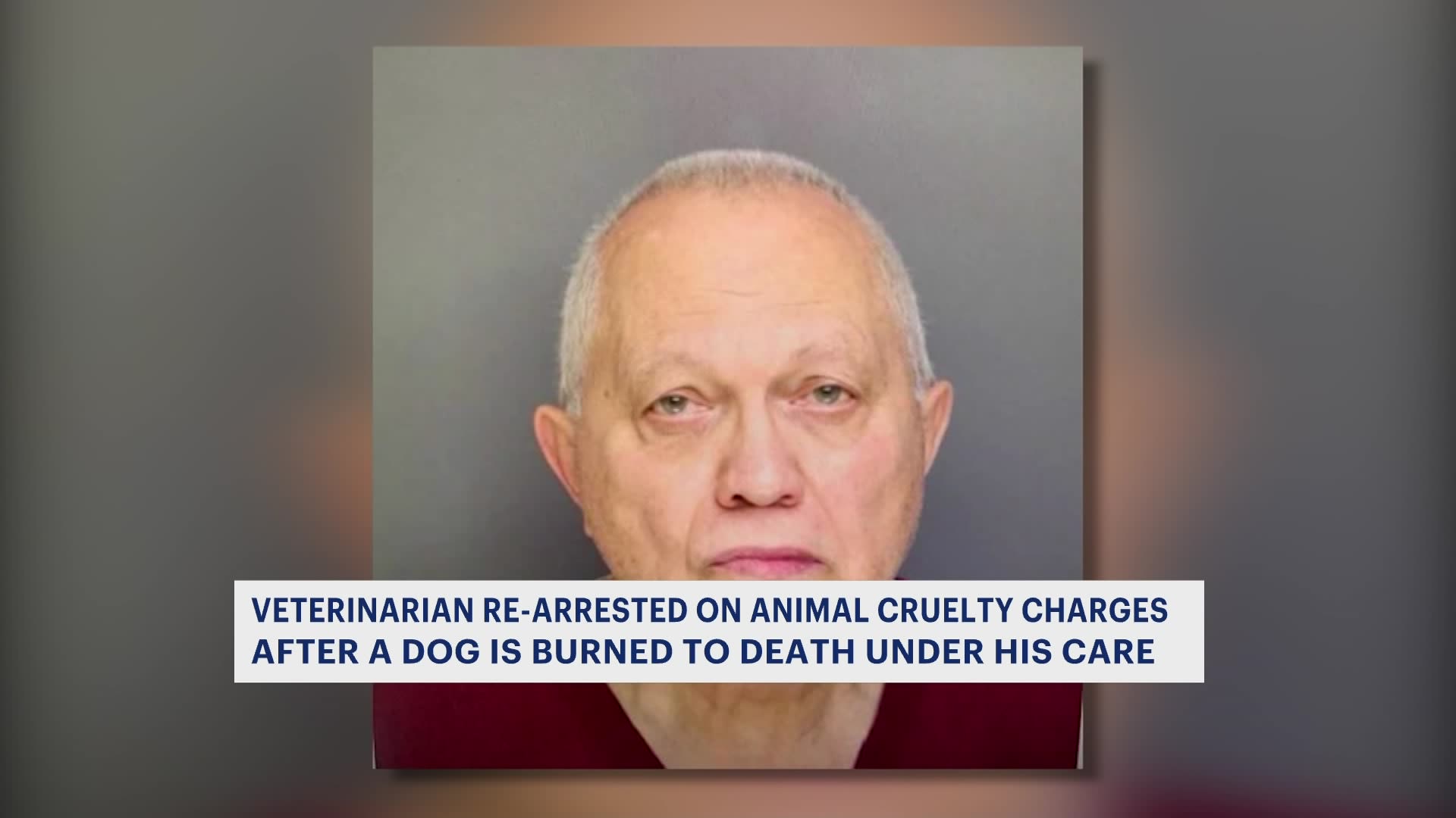 Bridgeport veterinarian rearrested after dog in care burned to death