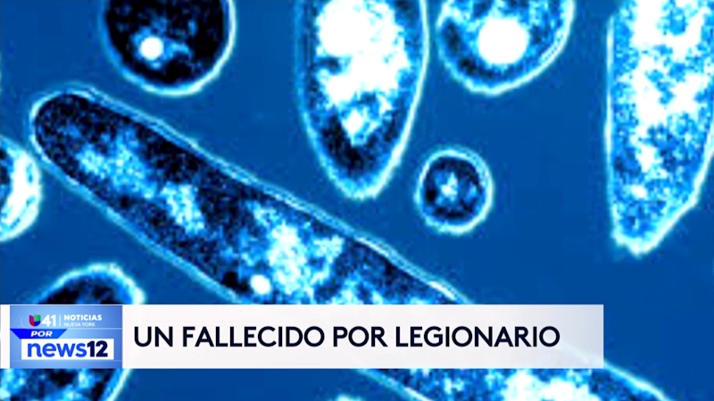 Story image: Univision 41 News Brief: Muere una persona por enfermedad de Legionarios