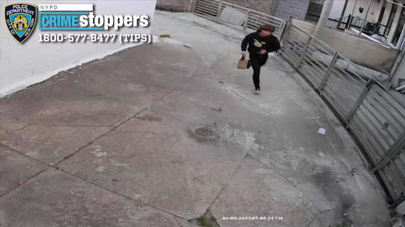 Story image: Univision 41 News Brief: Buscan a ladrón que hurtó 100 mil dólares de vivienda en Brooklyn
