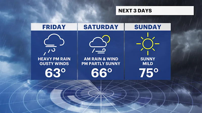 DG 3-Day Planner.png