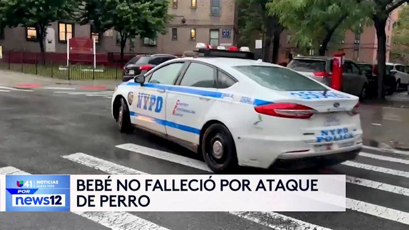 Story image: Univision 41 News Brief: Investigación revela que cachorro no fue culpable de la muerte de un bebé en Queens