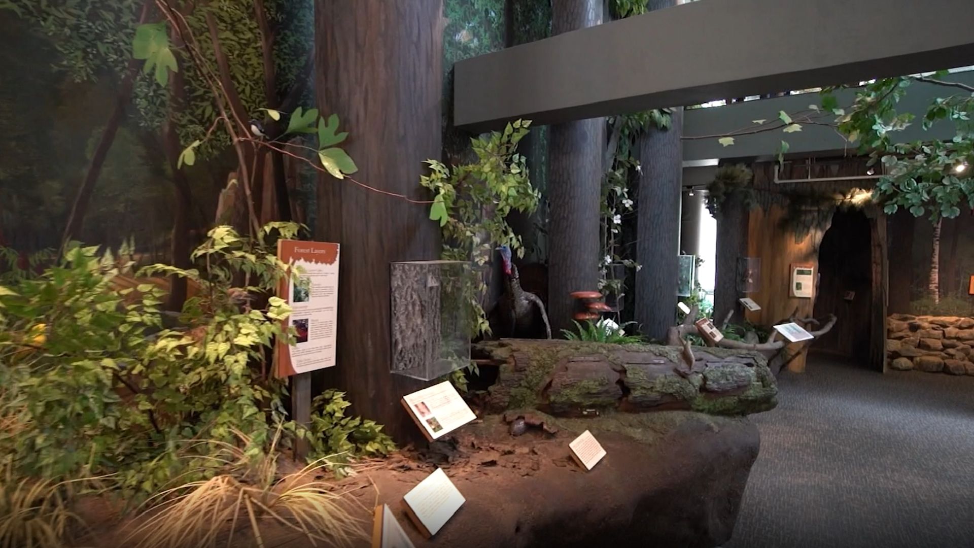 Looking for a road trip? Check out Trailside Nature & Science Center in