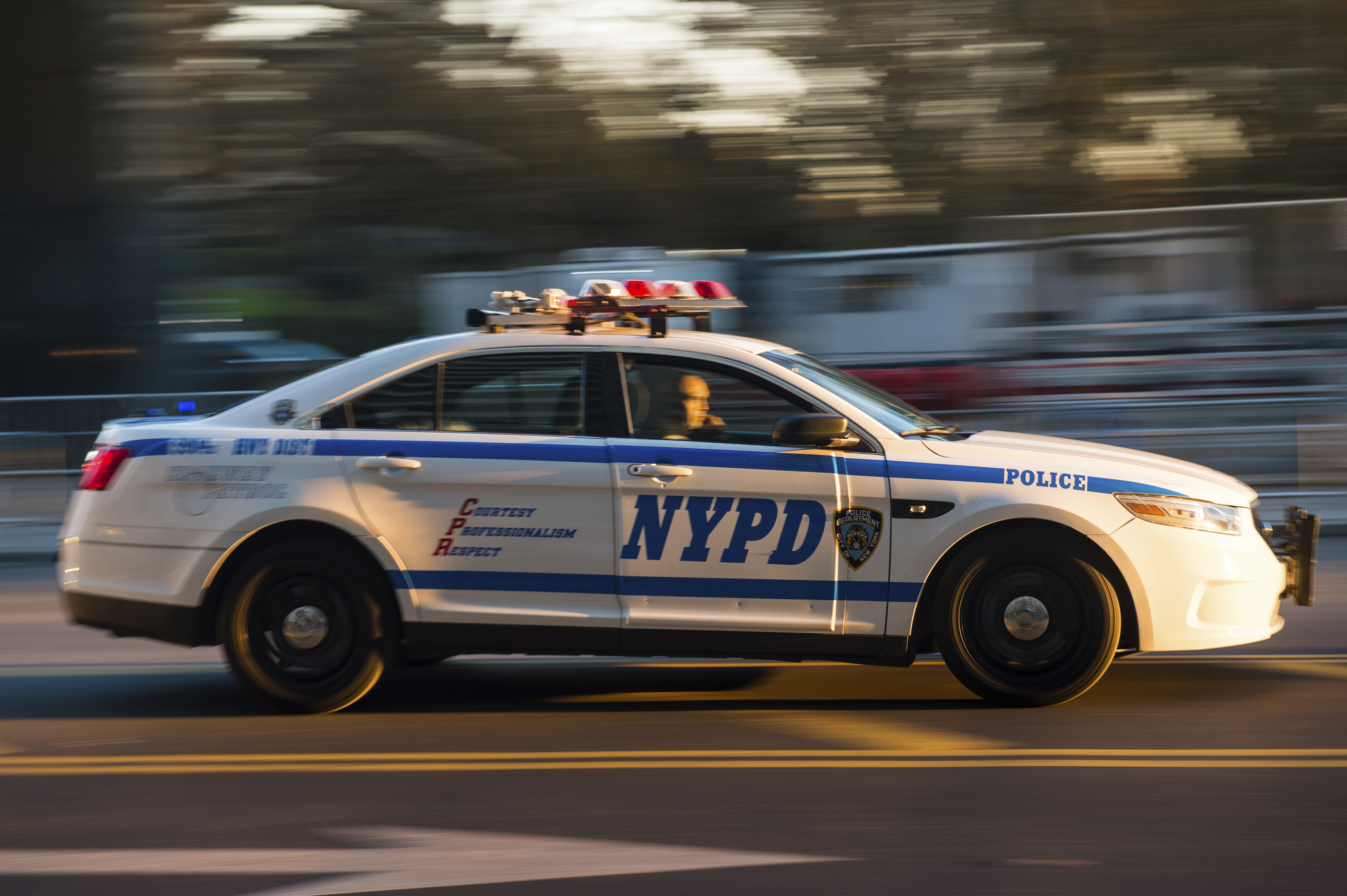 Article 275498 Hero Image