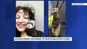 Stolen ferret returned to Pet Supplies Plus in North Bellport  