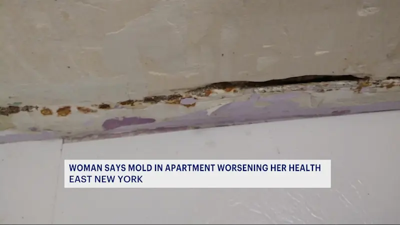 Story image: East New York tenant says mold in her apartment causing health concerns