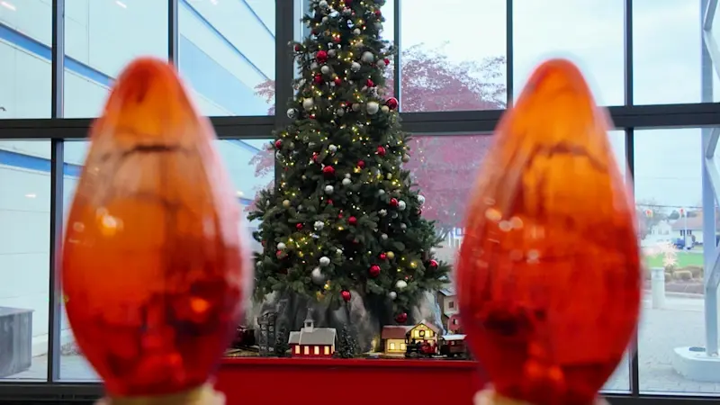 Story image: Cost Of: Holiday Decorations 