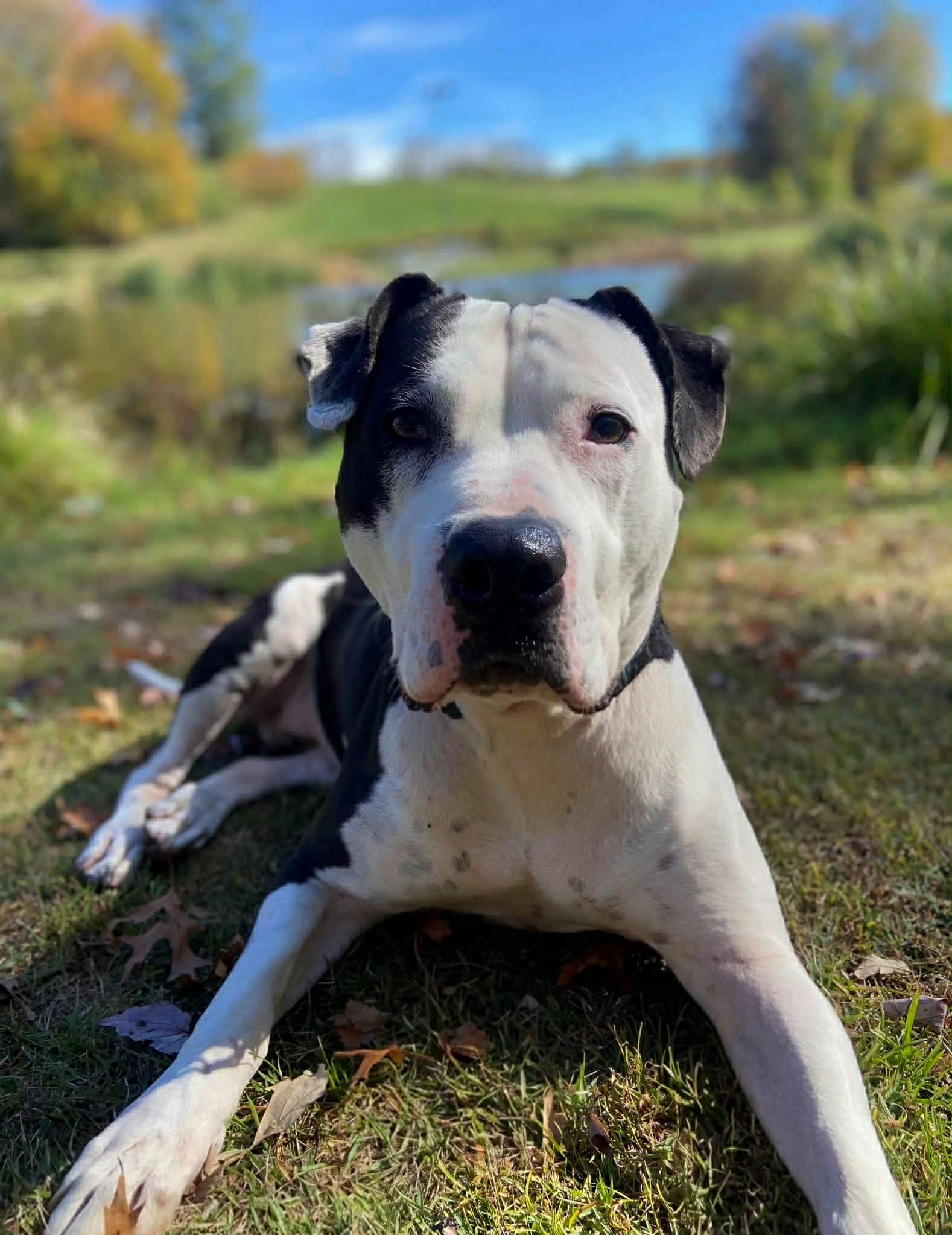 6ac45c16-0343-4f89-b3d3-ea395ebdf50d.jfif