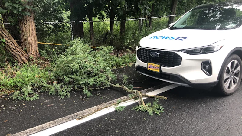 WCHVNearMissOnNews12CarDCaruso001.jfif