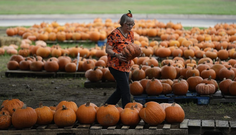 Story image: The Cost of: How much will pumpkins carve into your Halloween budget?