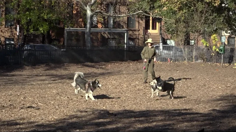 Story image: Bed-Stuy dog park expected to receive $1M to $3M in funding for reconstruction project