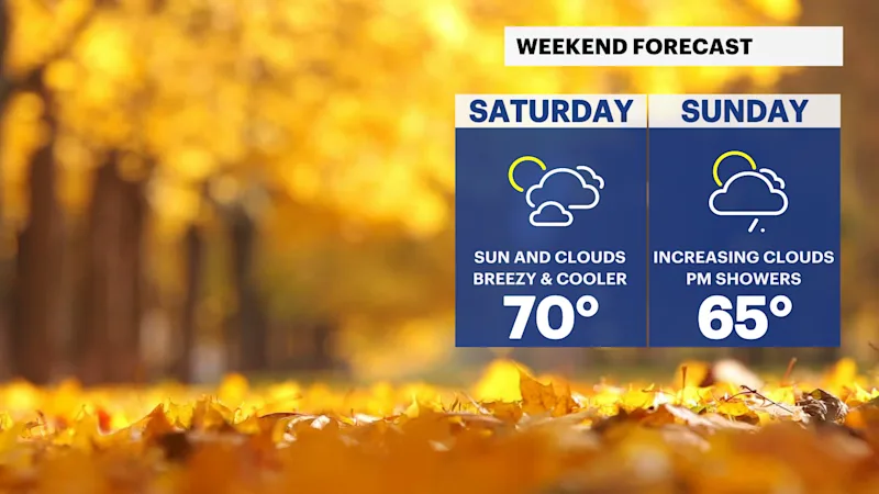 FP_Weekend (2).png