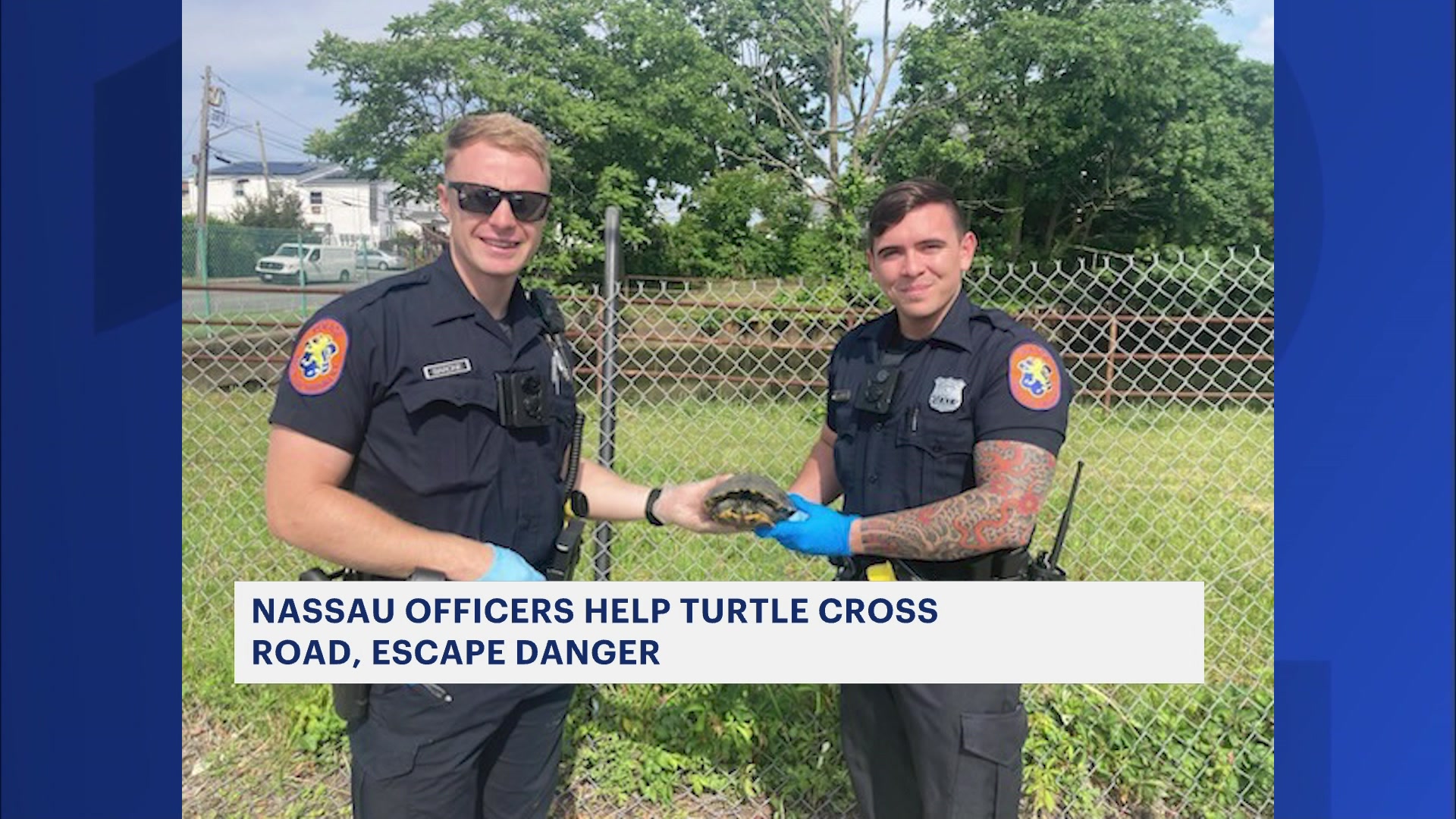 Turtle Cop News 12 | Long Island | Nassau Police Officers Rescue Turtle Slowly ...
