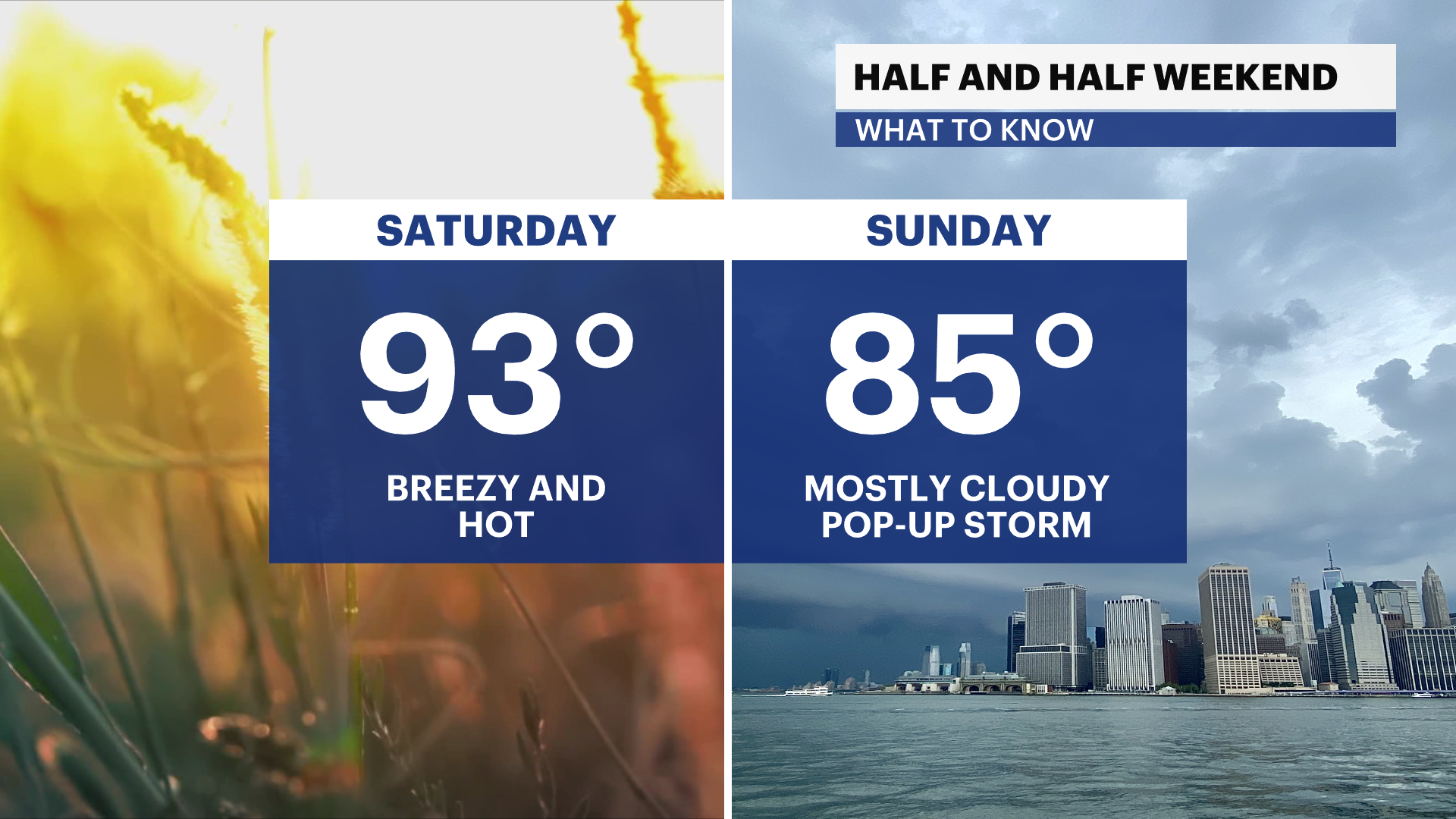 WEEKEND FORECAST.png