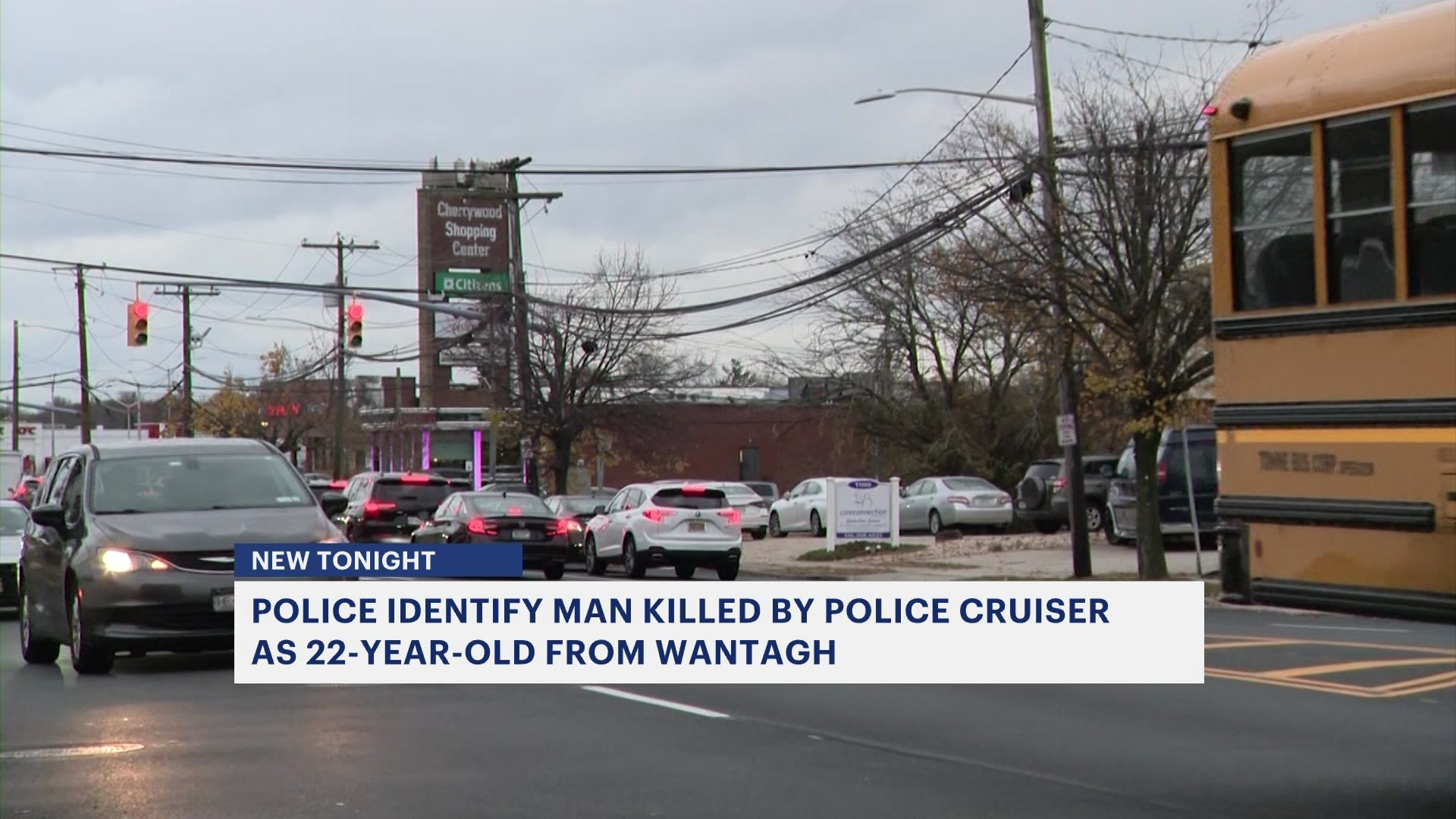 Authorities identify pedestrian killed in Wantagh crash involving Nassau police cruiser