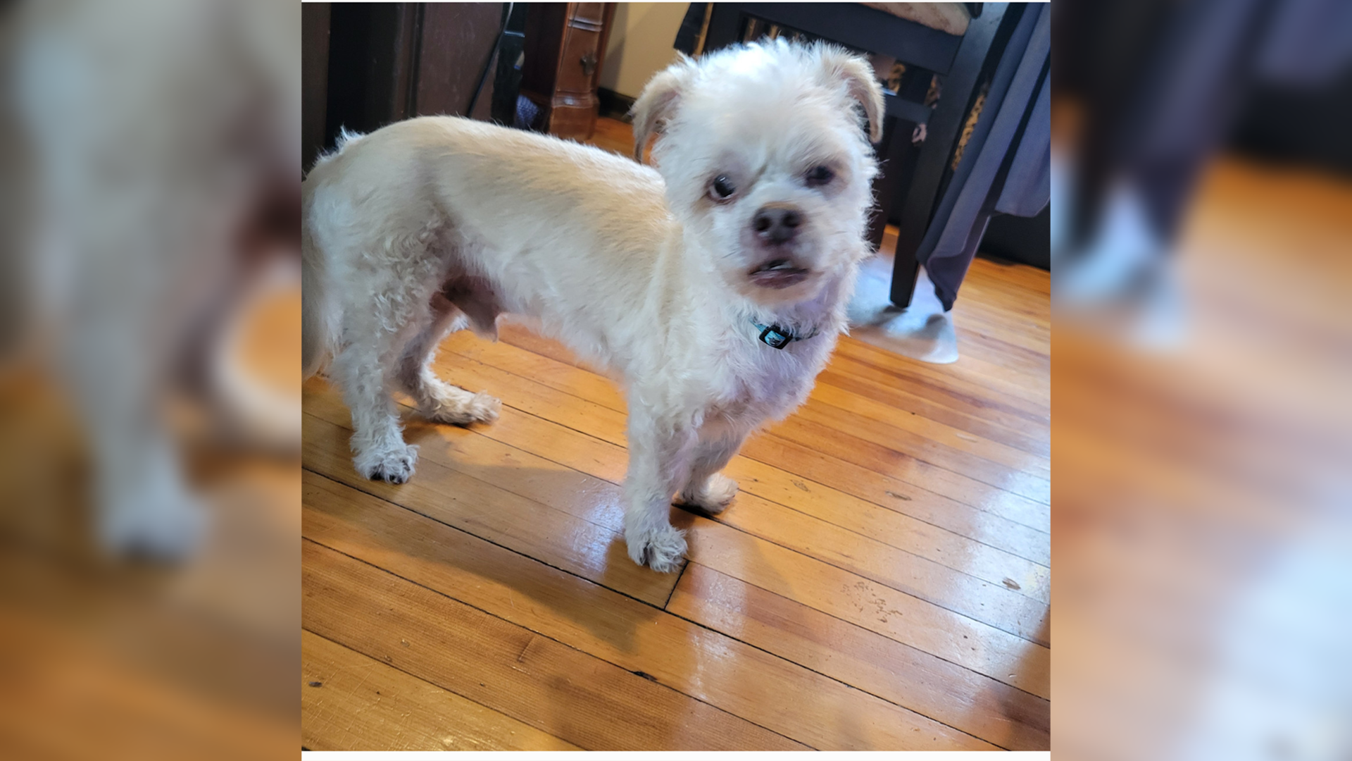 Max (1).png