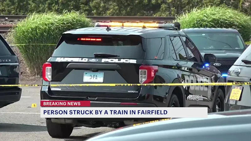 Story image: MTA: Man fatally struck by Metro-North Train in Fairfield