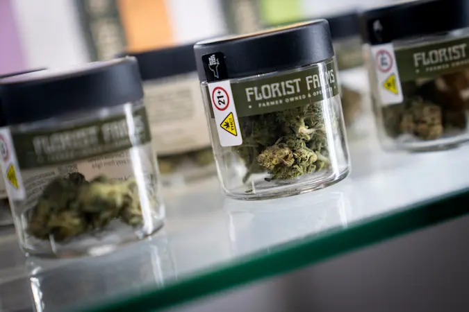 Story image: Marijuana shops sue New York after they were allowed to open too close to schools