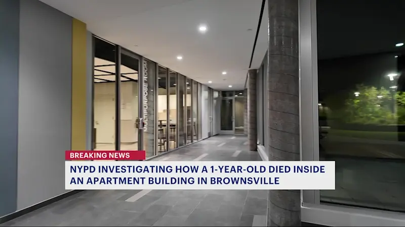 Story image: NYPD: 1-year-old boy dead in Brownsville