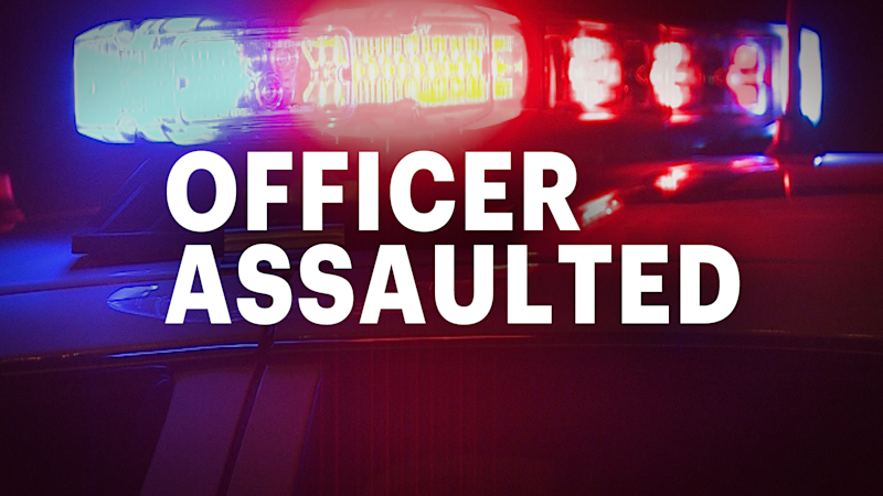 Story image: Man punched police officer during disorderly conduct arrest in Newtown