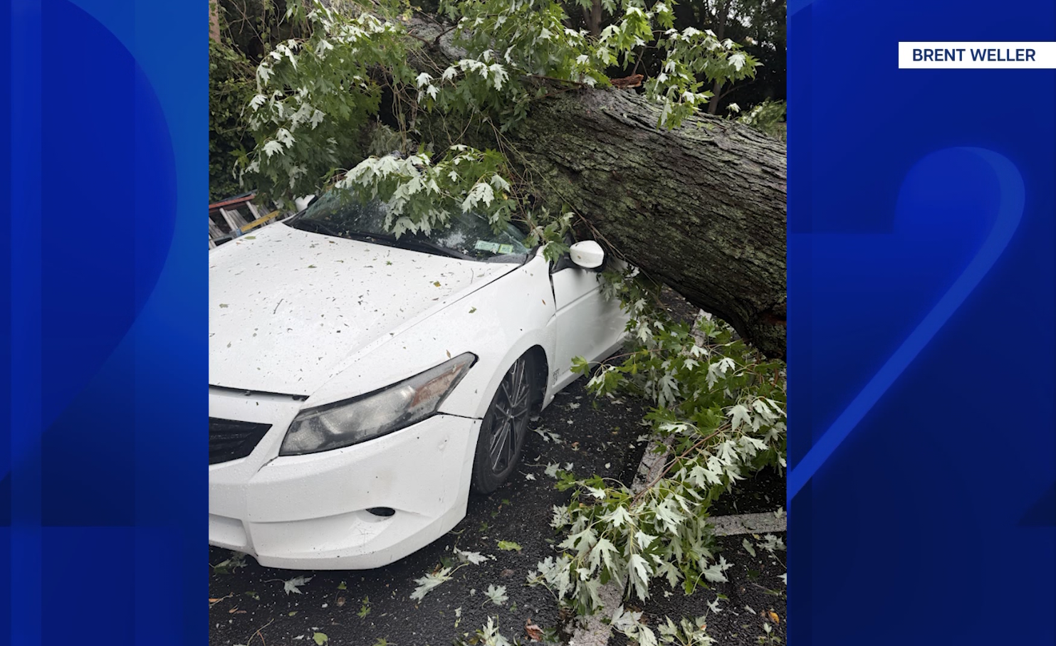 LIVE UPDATES: Nor'easter continues to down trees and soak Connecticut 