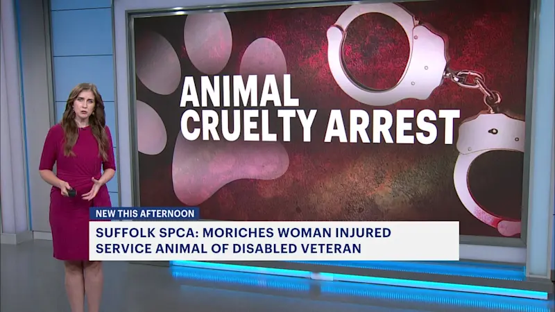 Story image: Suffolk SPCA: Moriches woman injured service animal of disabled veteran
