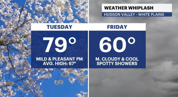 weather whiplash 1.JPG