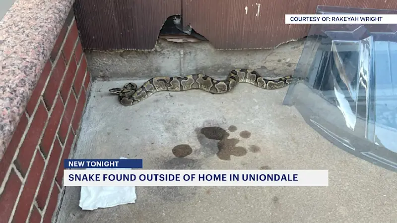 Story image: Snake found outside Uniondale home