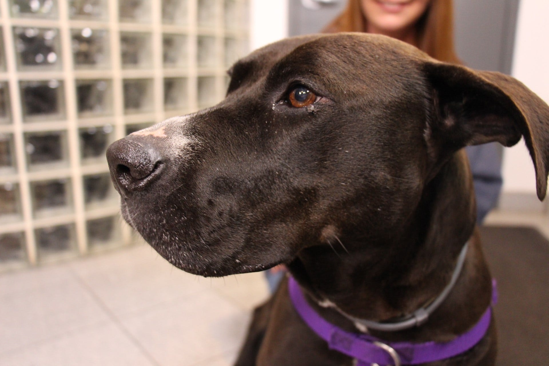 Article 49654 Thumbnail